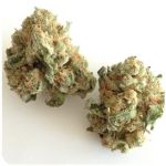 Шишки "White Widow" (Белая вдова) Гидропоника - Бошка VHQ в Балашове Шишки "White Widow" (Белая вдова) Гидропоника - Бошка VHQ в Балашове