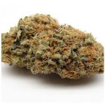 Шишки AK47 (Гидропоника, Бошка) VHQ в Балашове Шишки AK47 (Гидропоника, Бошка) VHQ в Балашове